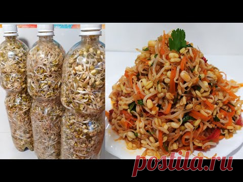 САЛАТ КОТОРЫМ СРАЗИТЕ ВСЕХ!ГОСТИ БУДУТ В ВОСТОРГЕ/САЛАТ ИЗ ПРОРОСШИХ БОБОВ Маша/КАК ПРОРАСТИТЬ БОБЫ