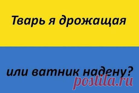 АНТИМАЙДАН И НАС 778 000 - СЛАВА БОГУ ЗА ВСЕ!
Кристина Савельева