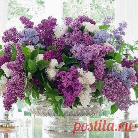 Медики лечат ПОЗИТИВОМ
галина ульихина