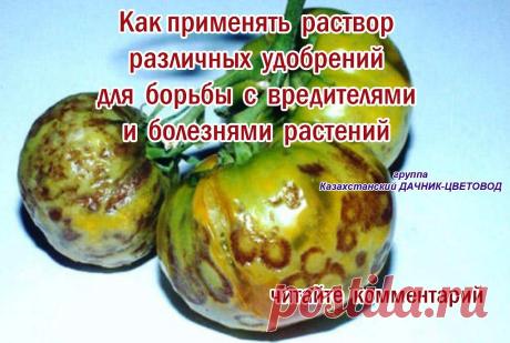 (73) Одноклассники