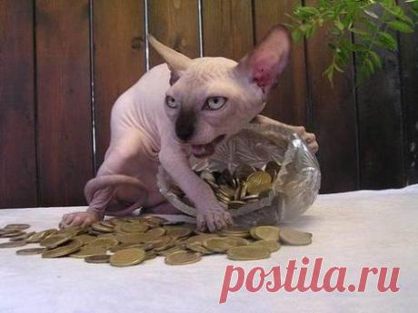 Злой кащей над златом чахнет...