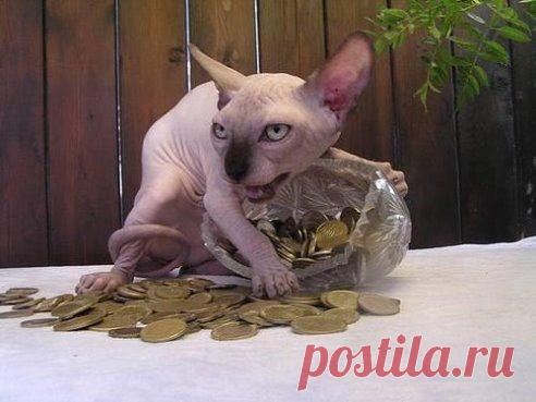 Злой кащей над златом чахнет...