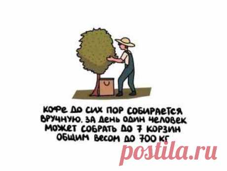 ооо