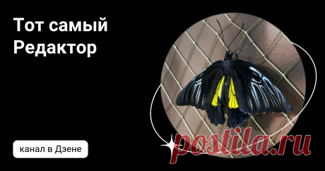 Тот самый Редактор | Дзен