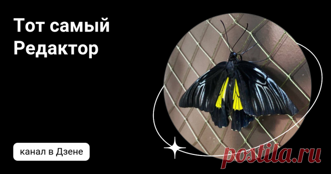 Тот самый Редактор | Дзен