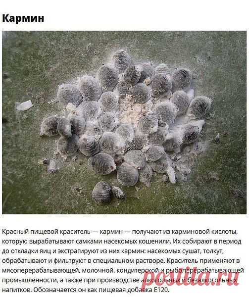 Фото пользователя Виктор, Ашхабад, 59 лет