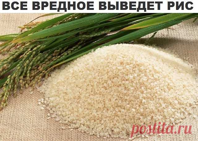 выводим вредности