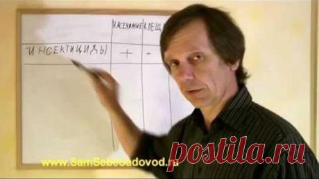 Что нужно знать о садовой химии