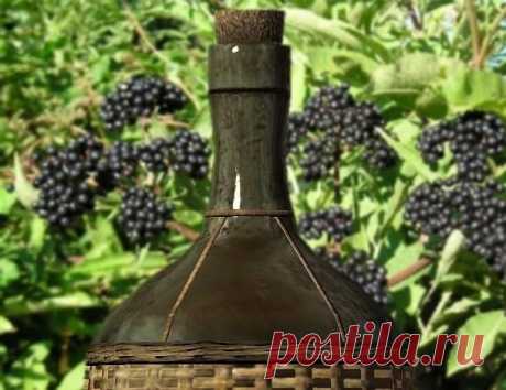 Как приготовить Домашнее вино из бузины рецепт с фото