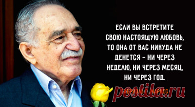 20 цитат «философа пессимизма» Артура Шопенгауэра – Фитнес для мозга