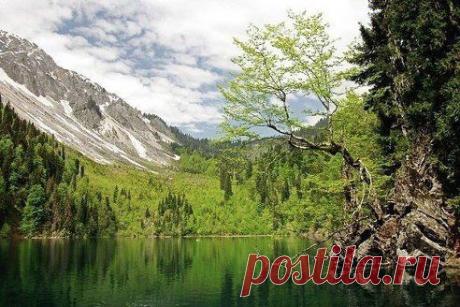 Озеро Малая Рица, Абхазия