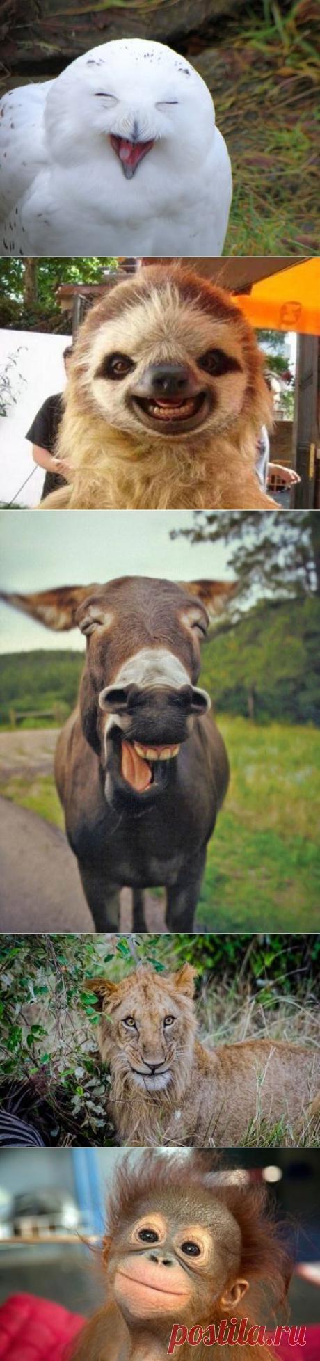 Как выглядят счастливые &amp;#8212; Всегда в форме!