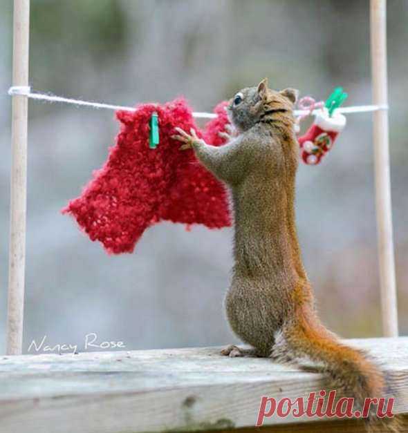 Funny Furniture Rodent Feeders : funny furniture