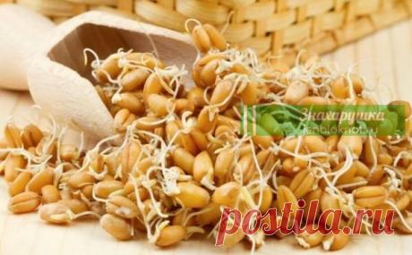 Рецепт доктора медицинских наук от рака, который уже помог тысячам людей Рецепт доктора медицинских наук России, профессора Мерзлова.