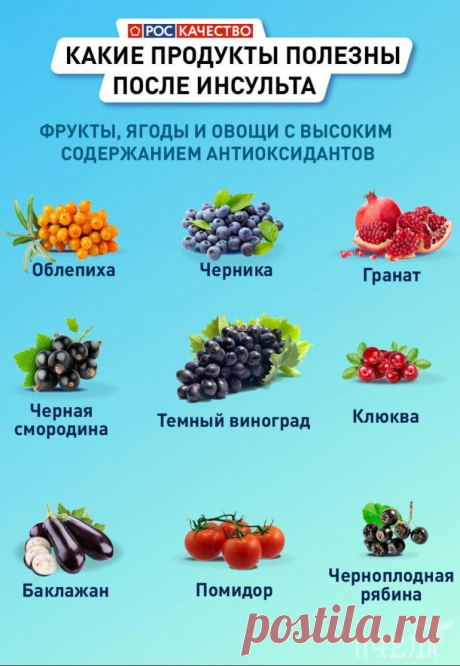 Какие продукты полезны после инсульта