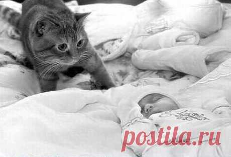 Фотографии на стене сообщества | 21 189 фотографий
