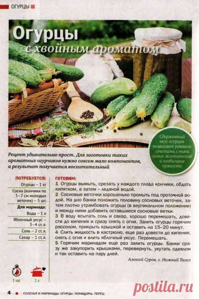 Огурцы с хвойным ароматом