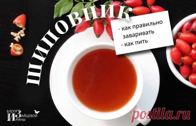 Как заваривать шиповник. Как пить шиповник | Блог Ирины Зайцевой