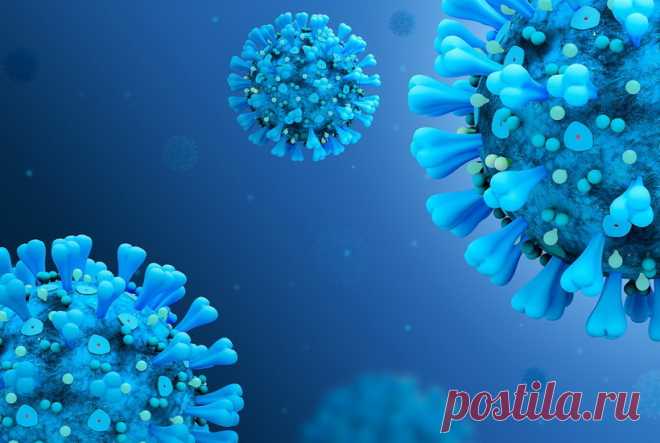 Ученые предрекли пандемию со смертностью 75% Основными симптомами этой инфекции являются сильный отек мозга, судороги и рвота, но она может протекать и бессимптомно.