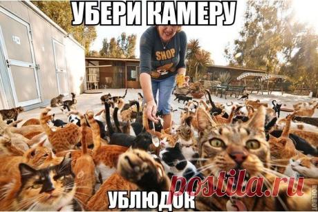 Мои закладки
