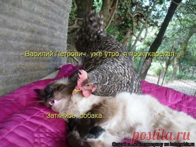 Мой Мир@Mail.Ru