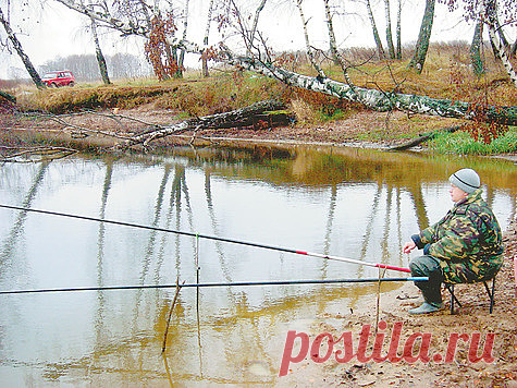 Ловим на пруду в предзимье  
Накануне ледостава часто случаются затяжные ненастья с ураганными ветрами на фоне снижения температуры воздуха и воды. Эти негативные факторы побуждают поплавочника искать для рыбалки с тонкой и лег…