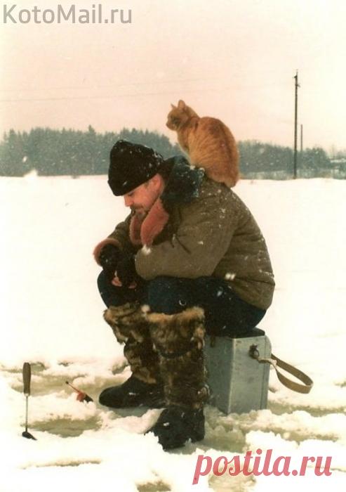 Особенности зимней рыбалки)