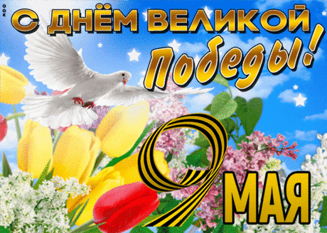 С днем Победы поздравляю,
Без войны прожить желаю.
Счастья, мира всем, тепла,
Жить для радости, добра!