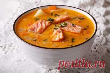 Красная рыба является более жирной и у нее совершенно другой вкус, по сравнению с белой - Мой Дом 21 - Медиаплатформа МирТесен