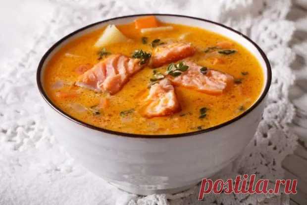 Красная рыба является более жирной и у нее совершенно другой вкус, по сравнению с белой - Мой Дом 21 - Медиаплатформа МирТесен