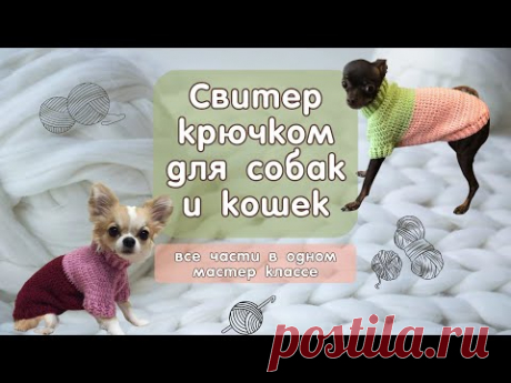 Как связать свитер крючком для собак и кошек, все части