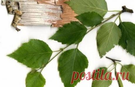 Мы очищаем организм и кожу. — ULANOO