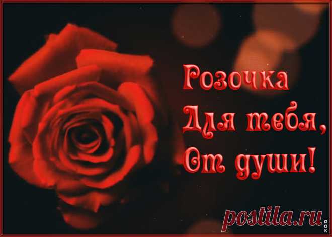 Розочка для тебя