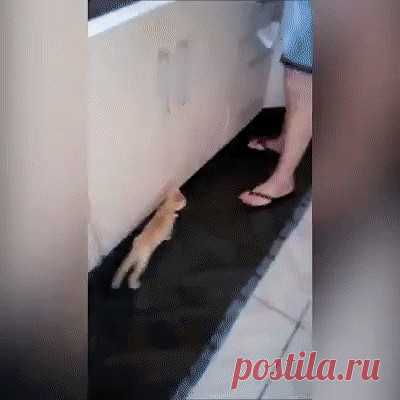 Ребенок в семье 😄Одноклассники