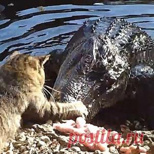 Мнения читателей EADaily относительно роли Ленина полярно разделились