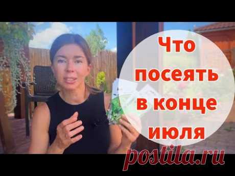 Что посеять после уборки чеснока и лука, чтобы получить двойной урожай