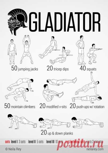 Для настоящих Гладиаторов )))))))))))
Дёшево и эффективно! Класс! 100 no-equipment workouts