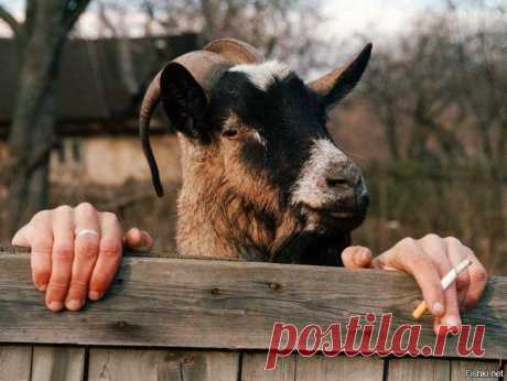 Андрей Войцеховский поделился фото Вадима... - Андрей Войцеховский
