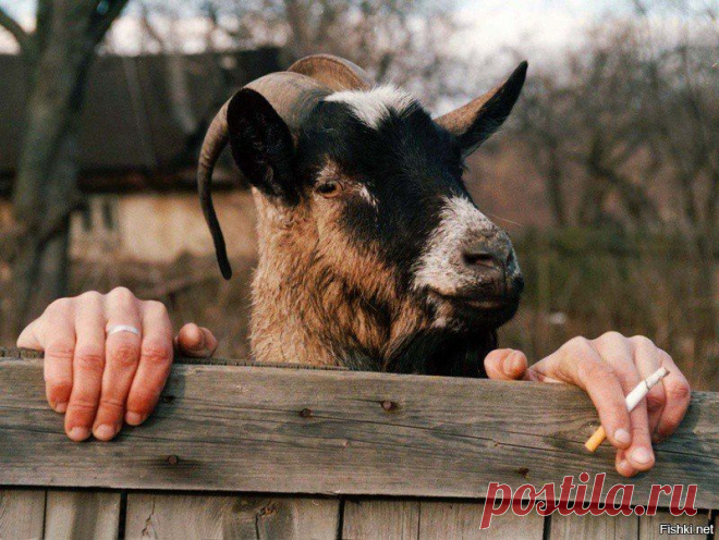 Андрей Войцеховский поделился фото Вадима... - Андрей Войцеховский