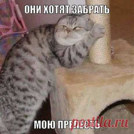 НИ ЗА ЧТО НЕ РАСТАНУСЬ