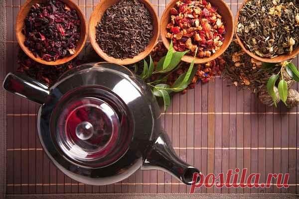 Травы от вирусов в организме человека, специи от инфекций: лечение, применение (от гриппа, папиллом, бактерий), природные антибиотики