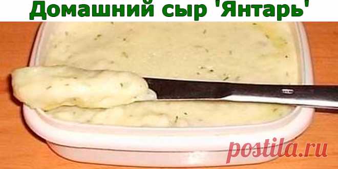 Домашний сыр ‘Янтарь’ Полезный сыр | Полезные советы