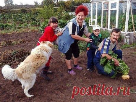 Посадил Дед ре / Новые дети