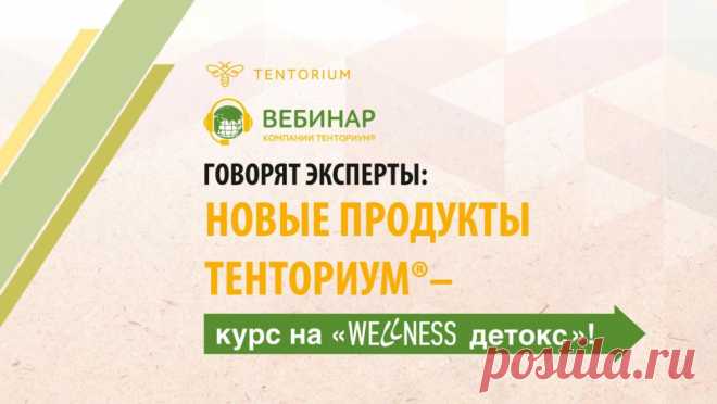 Mind Russia  вебинар