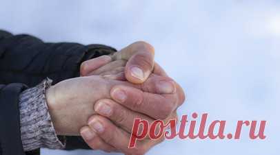 Невролог Джикия: само переохлаждение не является прямым заболеванием. Врач-невролог «СМ-Клиники» Марианна Джикия рассказала, что переохлаждение не является прямым заболеванием и не создаёт в организме вирусы или бактерии. Читать далее