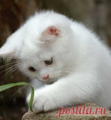 Мой Мир@Mail.Ru
