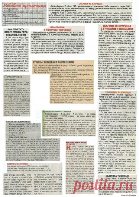 Куриные шницели с абрикосами. Котлеты из курицы. Оладьи из курицы. Галантин из курицы.