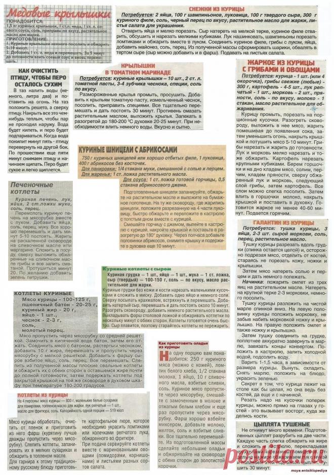 Куриные шницели с абрикосами. Котлеты из курицы. Оладьи из курицы. Галантин из курицы.