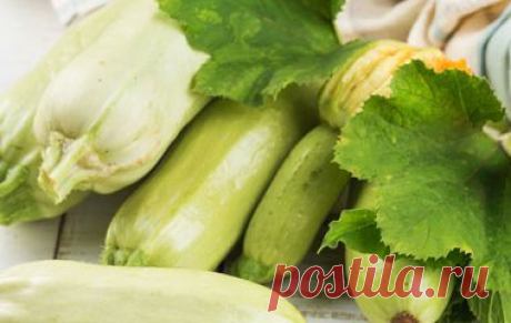 Кулинария | passion.ru