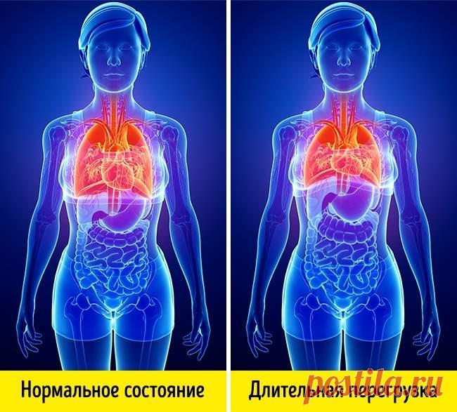 5 вещей, о которых ваше тело пытается вам рассказать - Упражнения и похудение Не игнорируйте! Наше тело — замечательная машина, которая рассказывает почти все, что нужно и она чувствует. Обратите внимание на небольшие знаки и указания, которые оно показывает в отношении того, что ему нужно. Уделение внимания симптомам может помочь вам обнаружить некоторые смертельные заболевания на ранней стадии. Вот 5 вещей, о которых ваше тело может сказать вам …